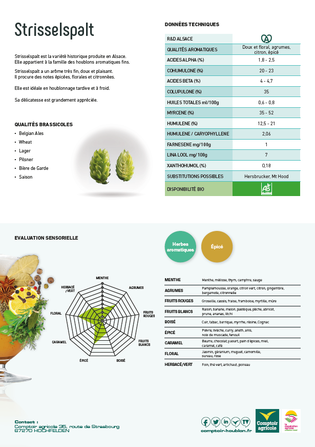 Fiche technique variété houblon strisselspalt